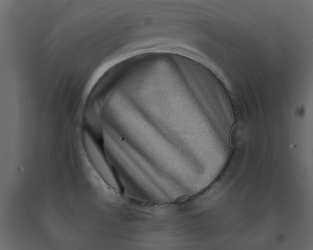 X0000092231530200710051208