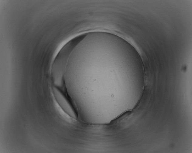 X0000092231532200710051208