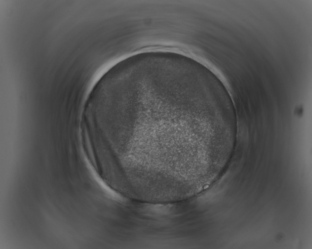 X0000092231533200710051208