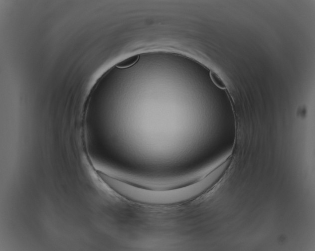 X0000092231534200710051208