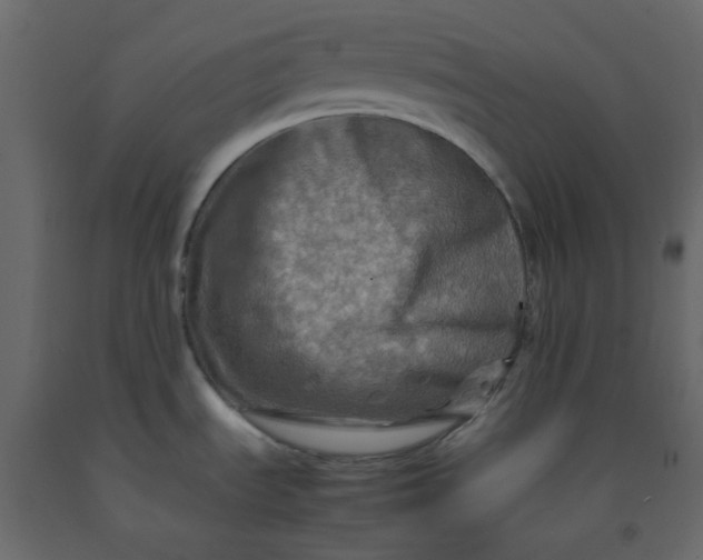 X0000092231535200710051208