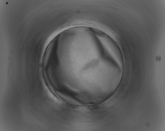 X0000092231536200710051208