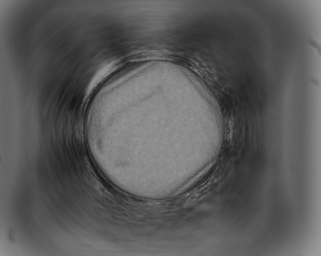 X0000092230004200710121227