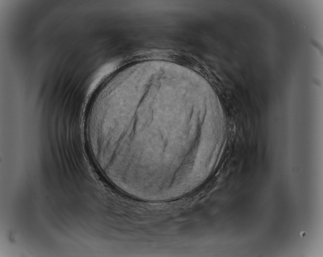 X0000092230006200710121227