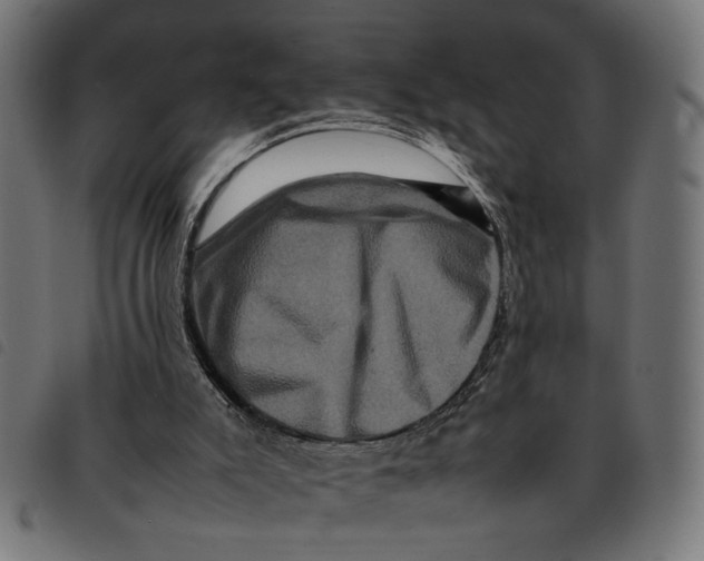 X0000092230007200710121227