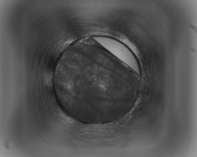 X0000092230009200710121227