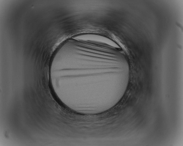 X0000092230011200710121227