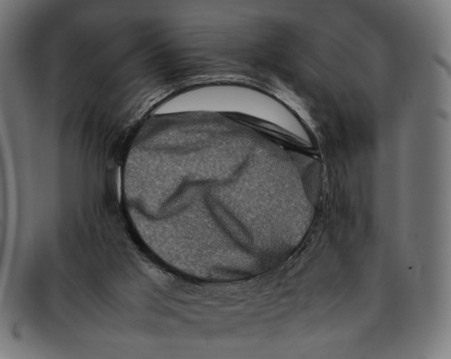 X0000092230013200710121227