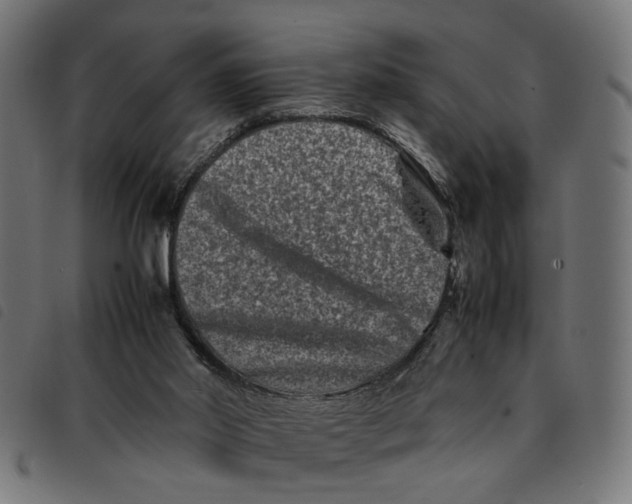 X0000092230014200710121227