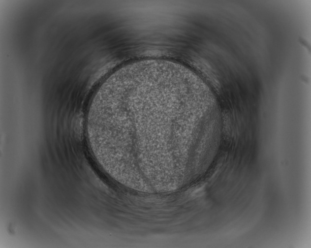 X0000092230016200710121227