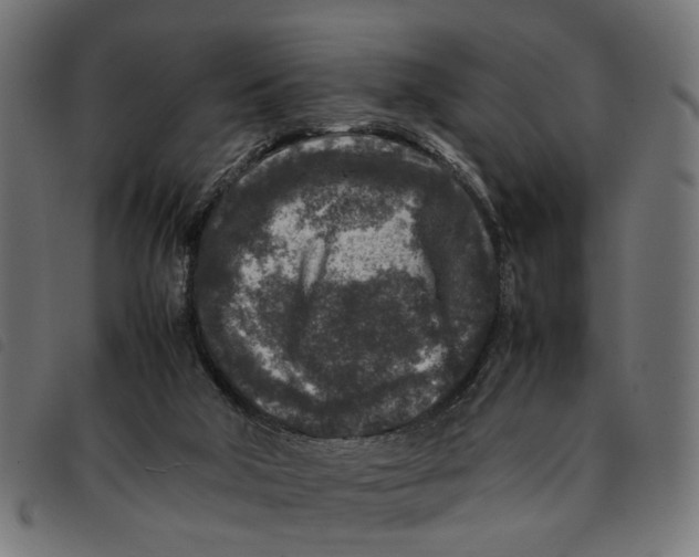 X0000092230018200710121227