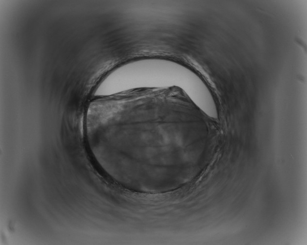 X0000092230019200710121227