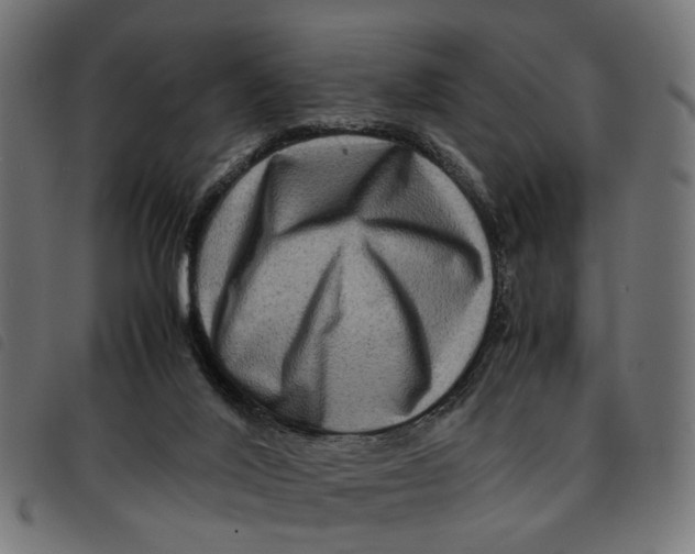 X0000092230020200710121227