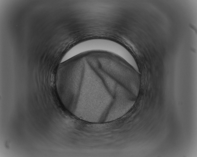 X0000092230025200710121227