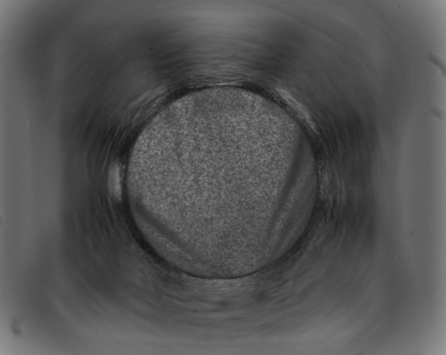 X0000092230026200710121227