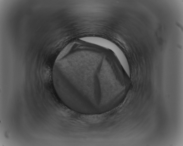 X0000092230029200710121227