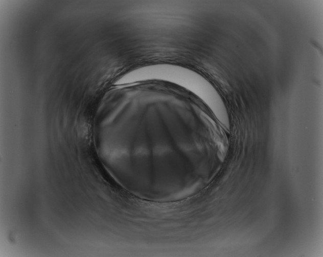 X0000092230031200710121227