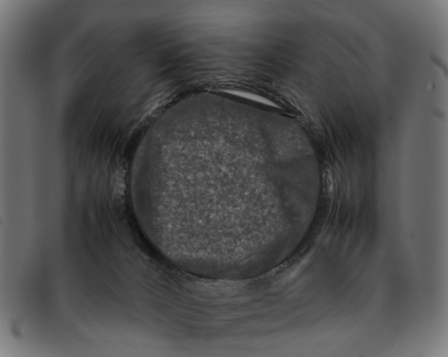 X0000092230032200710121227