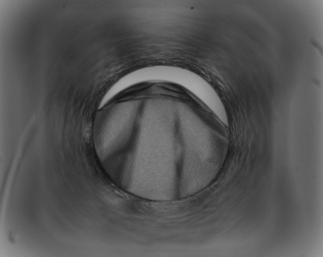 X0000092230033200710121227