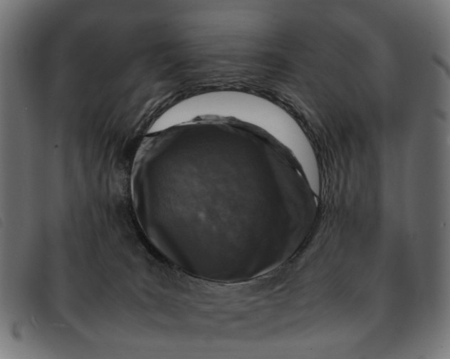 X0000092230035200710121227