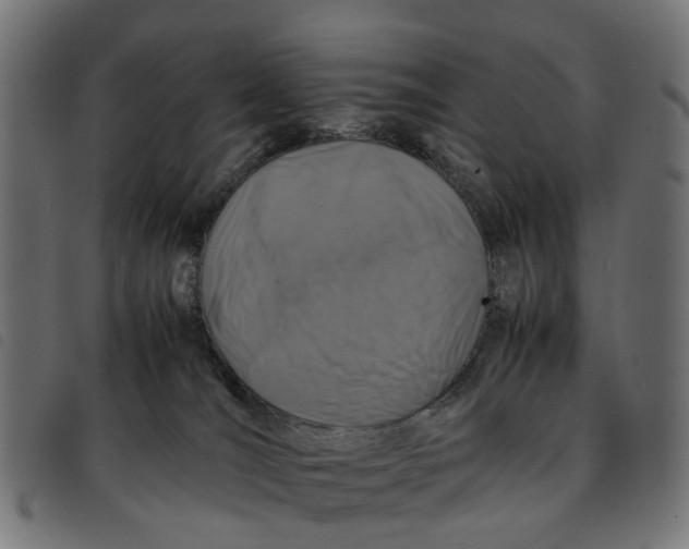 X0000092230036200710121227