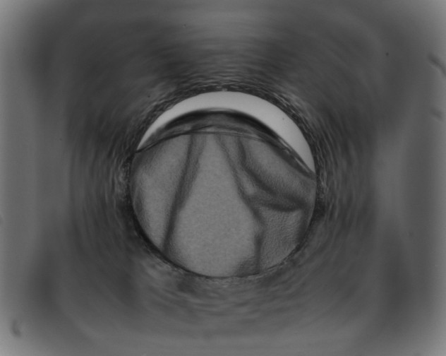 X0000092230037200710121227