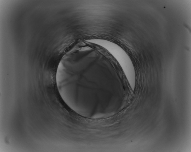 X0000092230039200710121227