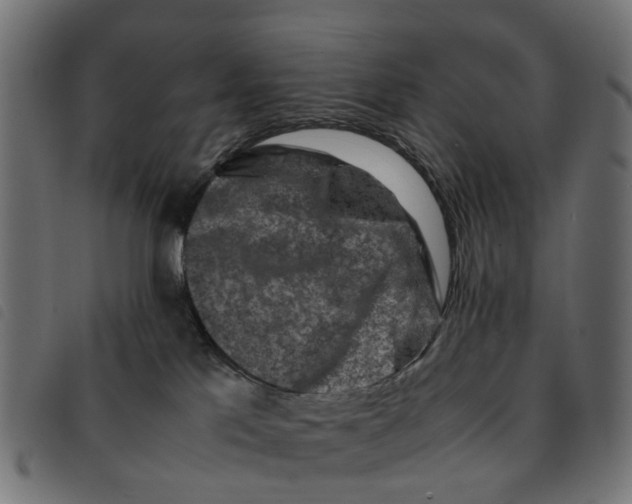 X0000092230041200710121227