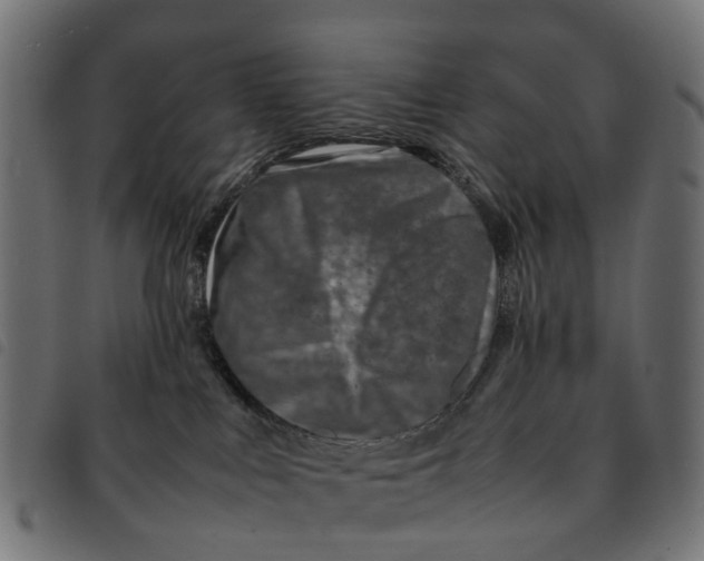 X0000092230043200710121227