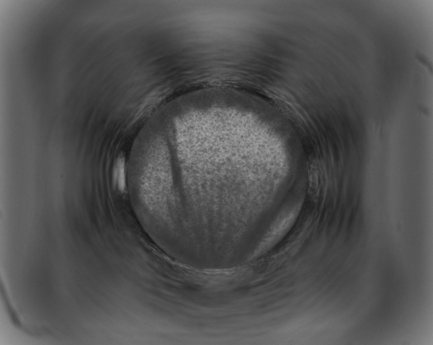 X0000092230046200710121227