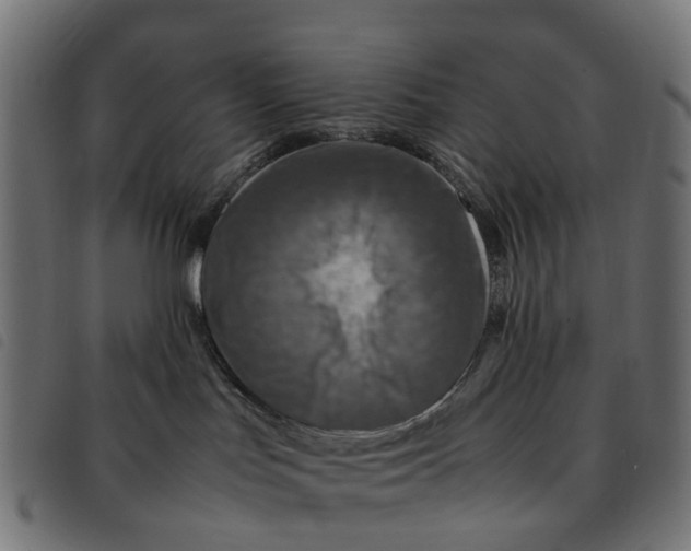 X0000092230047200710121227