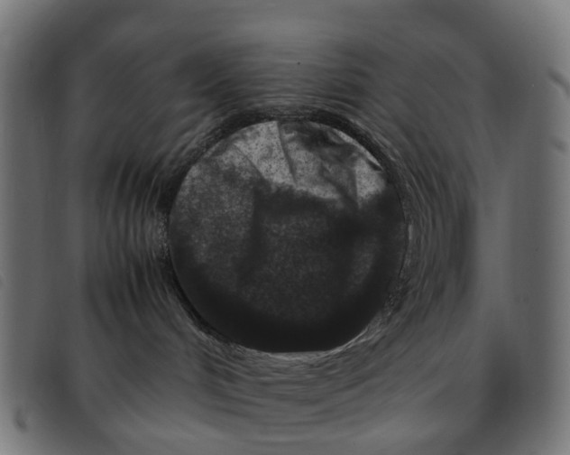 X0000092230048200710121227