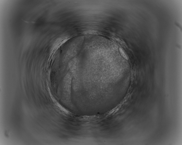 X0000092230049200710121226