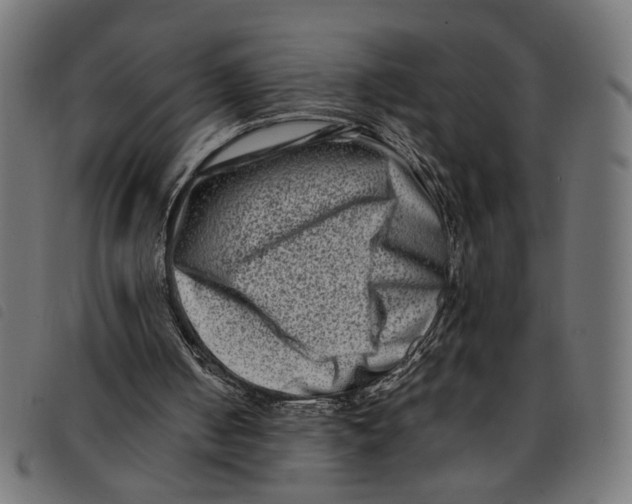 X0000092230050200710121226