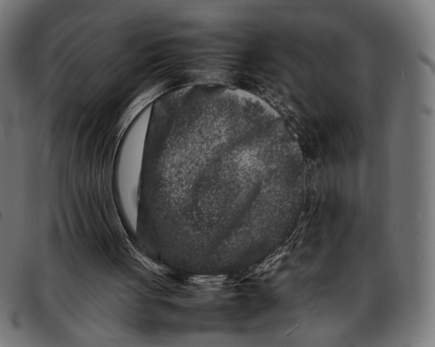 X0000092230051200710121226