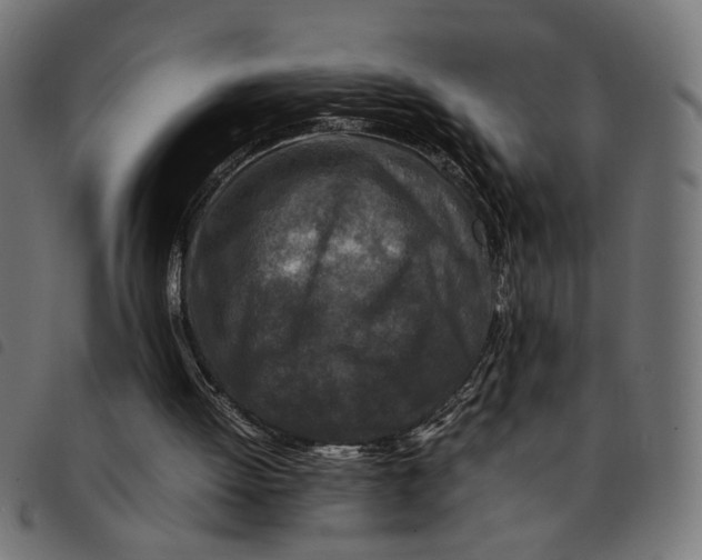 X0000092230052200710121226