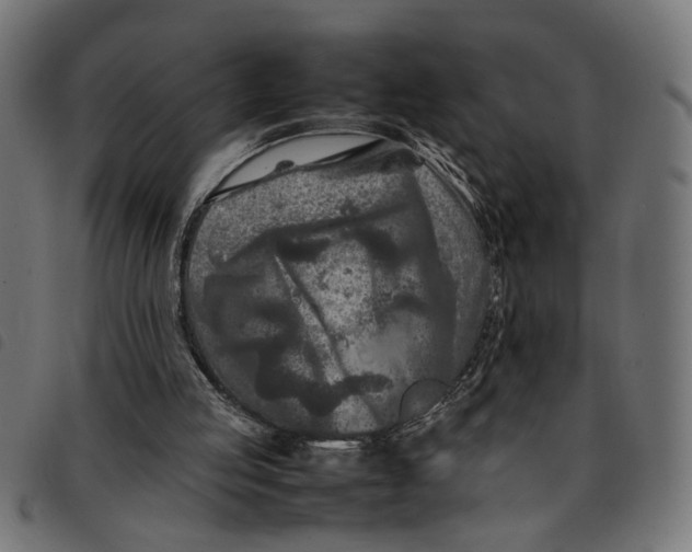 X0000092230053200710121226