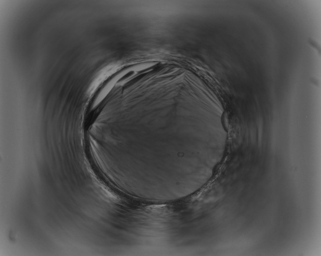 X0000092230054200710121226