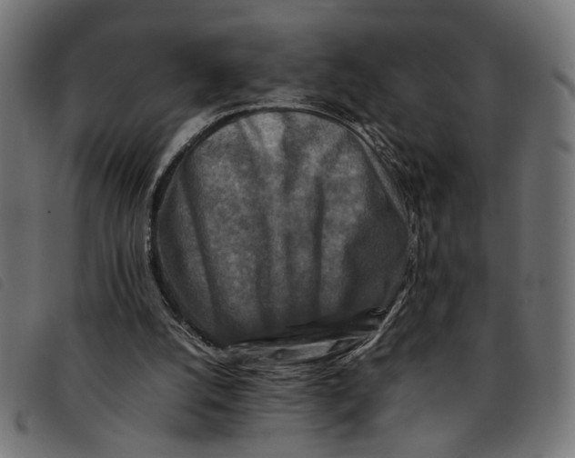 X0000092230056200710121226