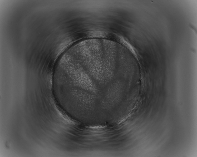 X0000092230059200710121226