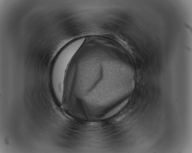 X0000092230060200710121226