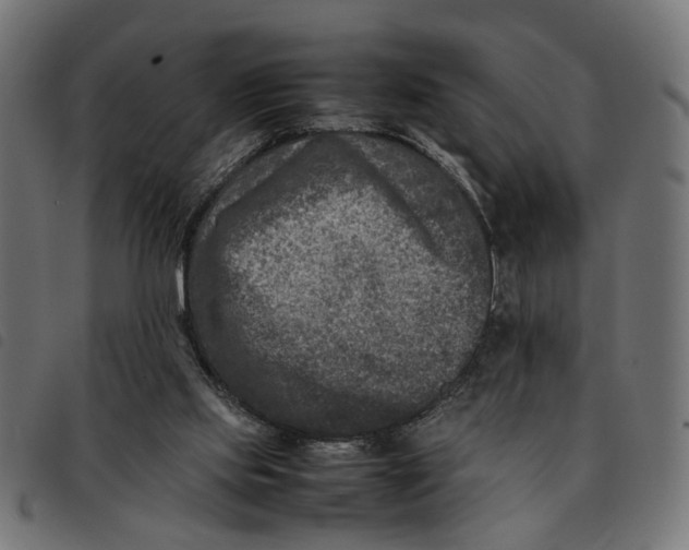 X0000092230061200710121226