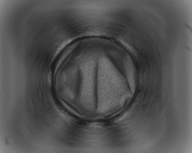 X0000092230064200710121226