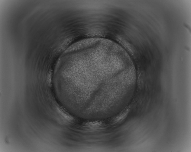 X0000092230065200710121226