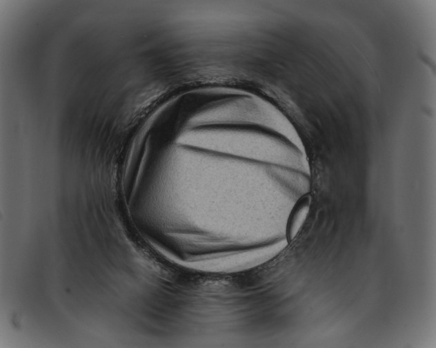 X0000092230066200710121226