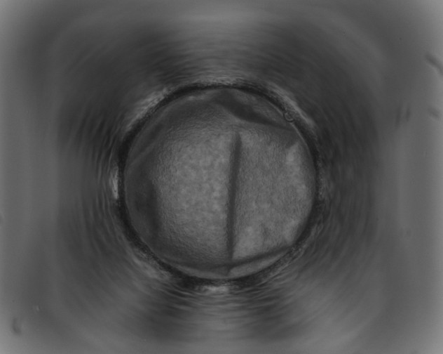 X0000092230068200710121226