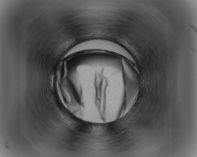 X0000092230070200710121226