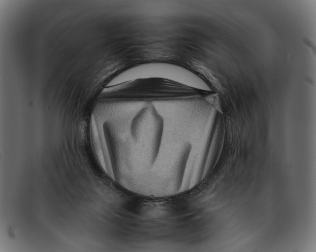 X0000092230071200710121226