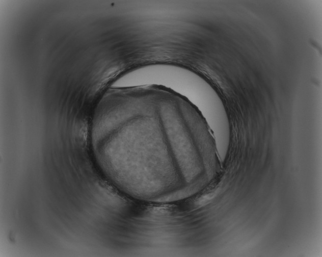 X0000092230072200710121226