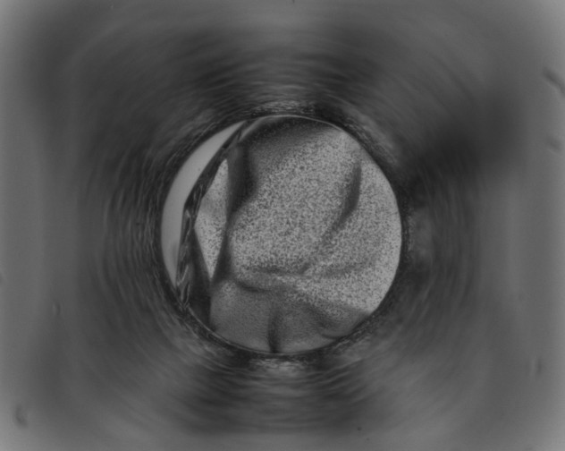 X0000092230073200710121226